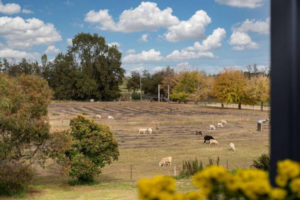 Heart Of Canowindra - Heritage Escape With A View Villa Esterno foto